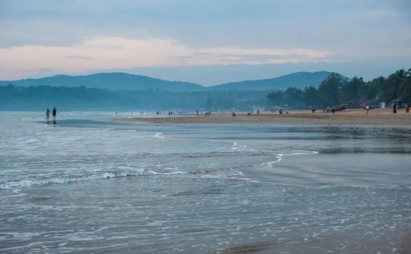 Agonda Palace Resort
