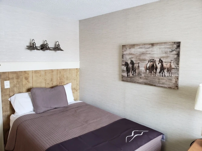 1 Bedroom Standard Single room