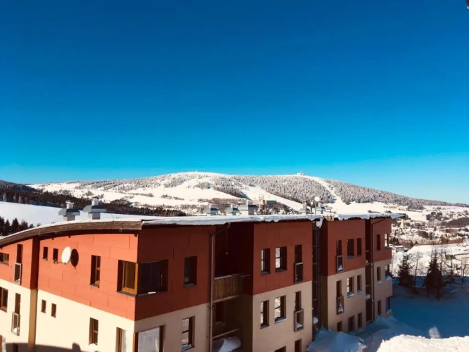 1 Bedroom Sextuple Apartment