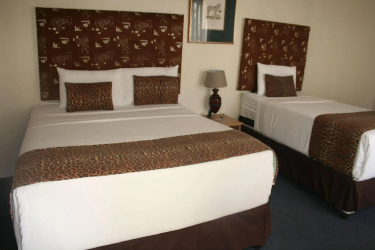 Ecotel OR Tambo Airport