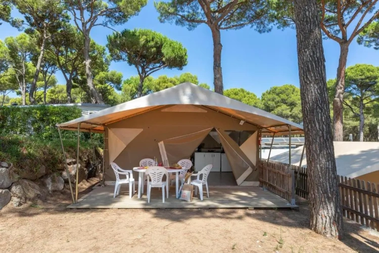 Tent