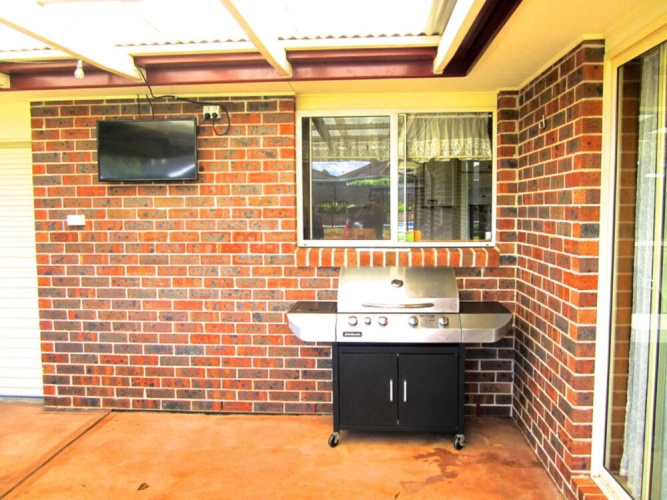 14 Lomandra
