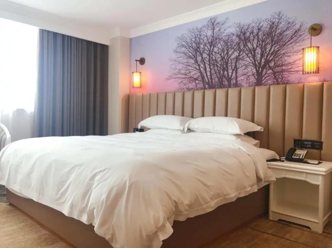 Superior Single Suite