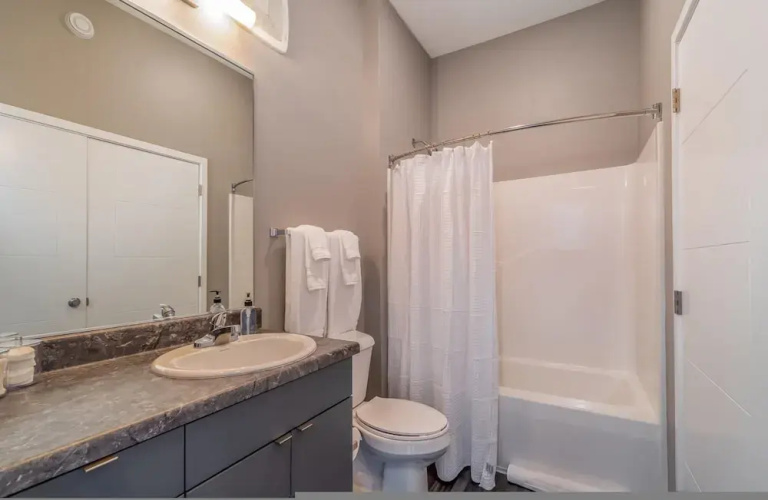 Des Moines Executive 1BD 1BA Downtown Apartment