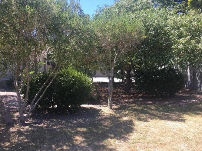 Olive Cottage