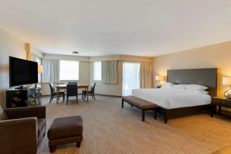 Deluxe Double room with river view