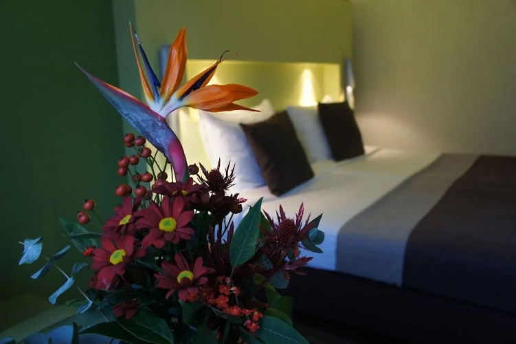50/50 Hotel Belmont
