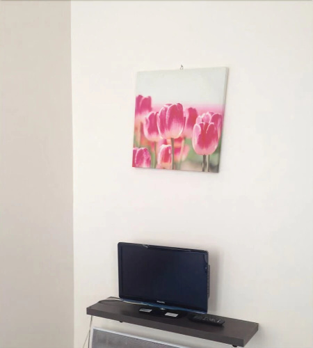 Apartment Poisson 1