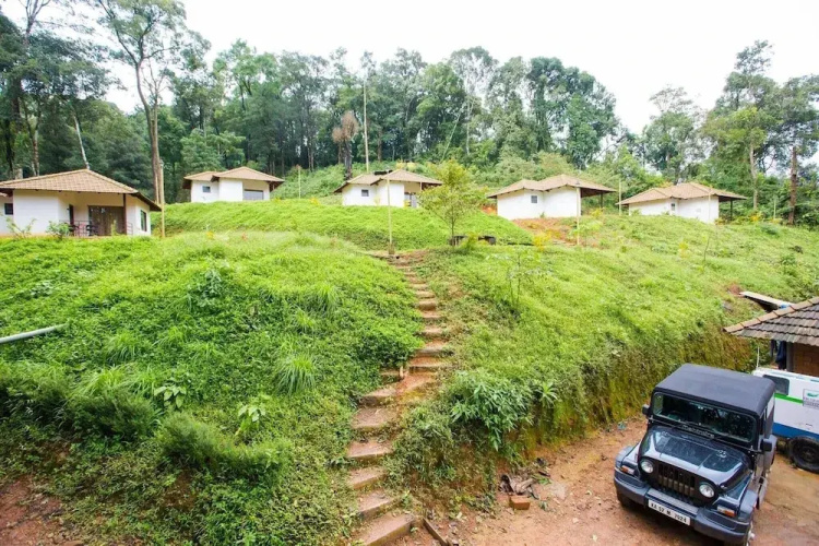The Nest Bettathur Coorg
