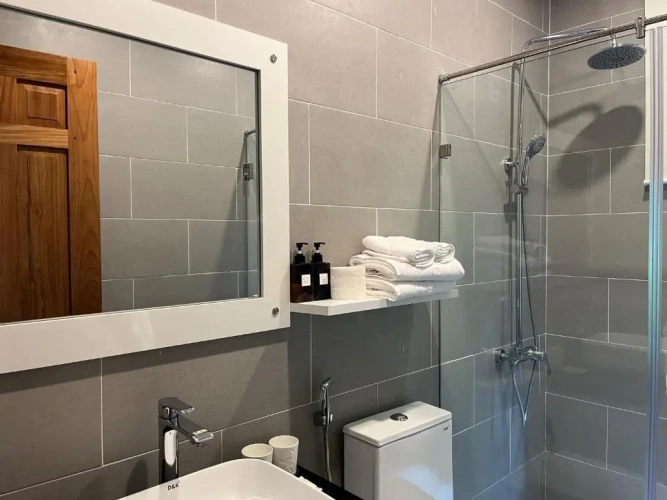 Deluxe Apartment