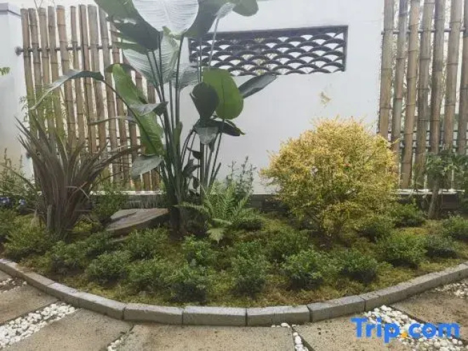 Zhugeliang Homestay