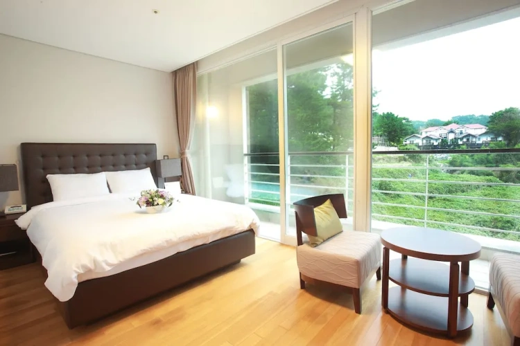 Superior Double room with balcony and with mountain view