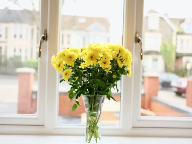 Fishponds Place 361