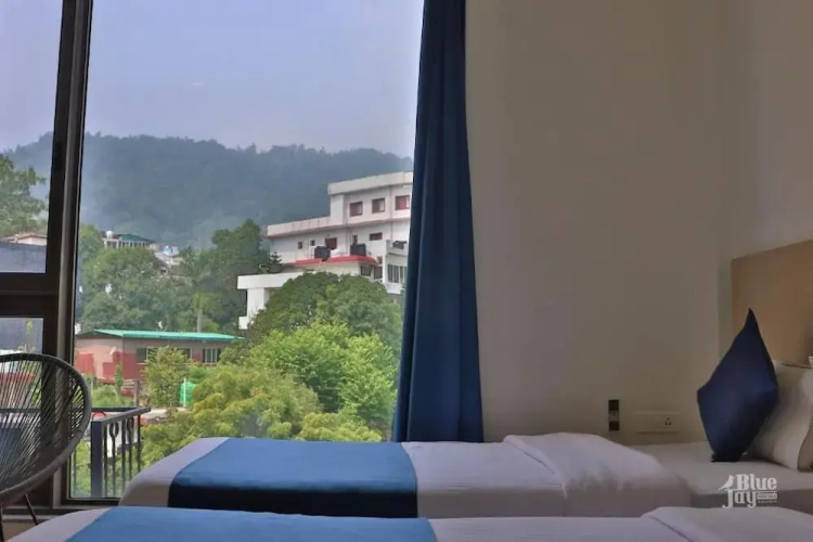 The Blue Jay Hostel | Dorms & Rooms