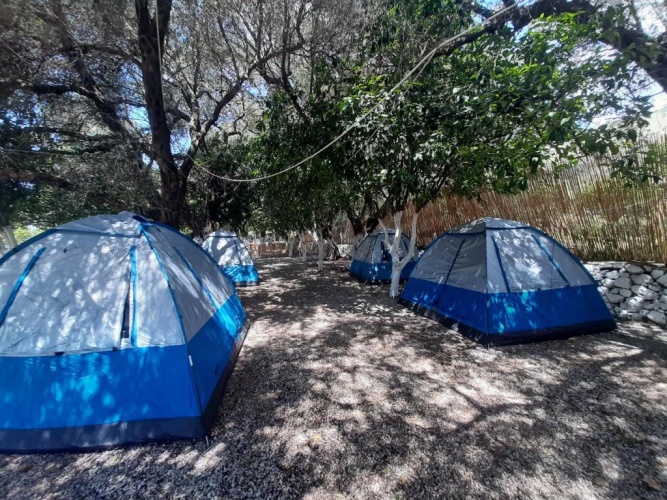 Tent