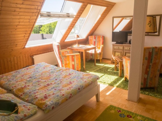 Standard Double room with mountain view