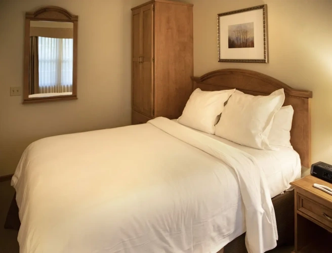 Deluxe Double Suite with garden view