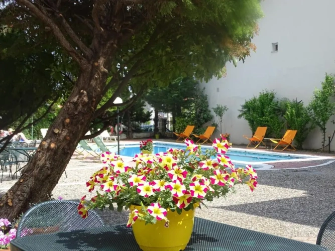 Standard Double room with pool view