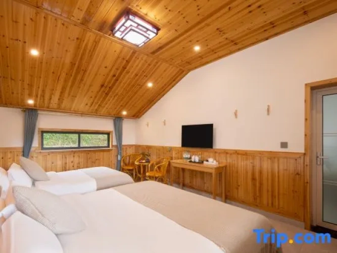 Standard Family room with view