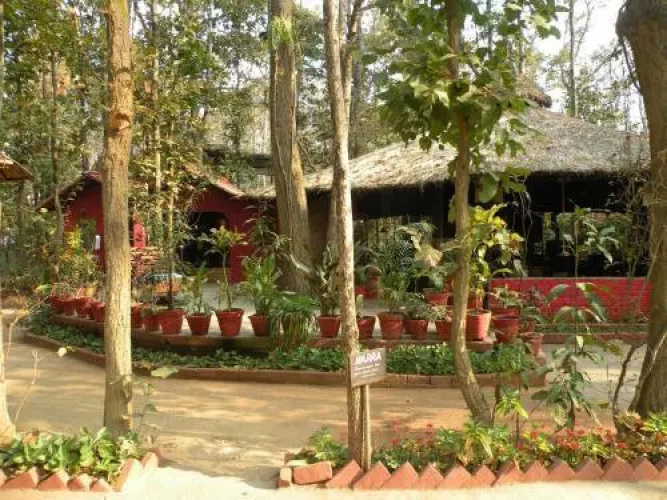 Kanha Jungle Lodge