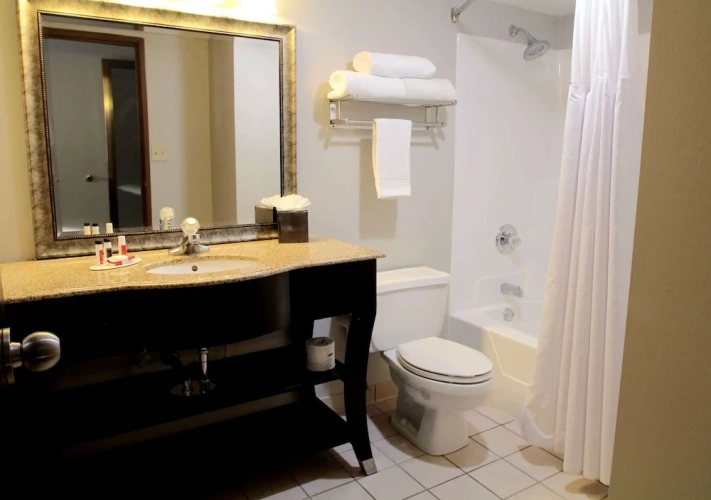 1 Bedroom Suite