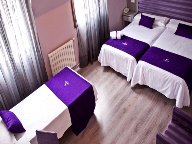 Standard Single room with view