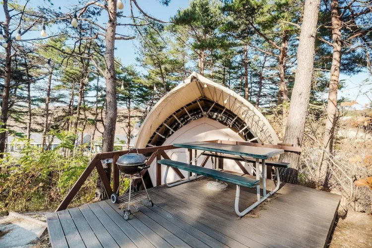 Sokcho Starry Night Glamping