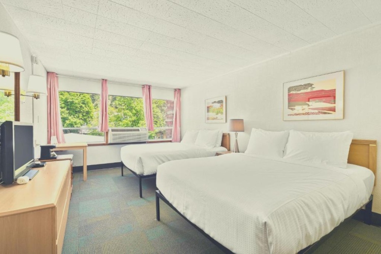 Superior Quadruple room