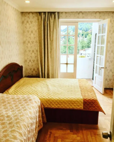 Apartment Borjomi
