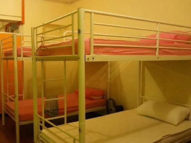 Best Bunk Beds Lodge