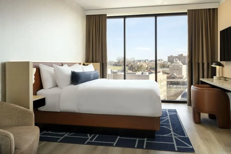 1 Bedroom Executive Suite