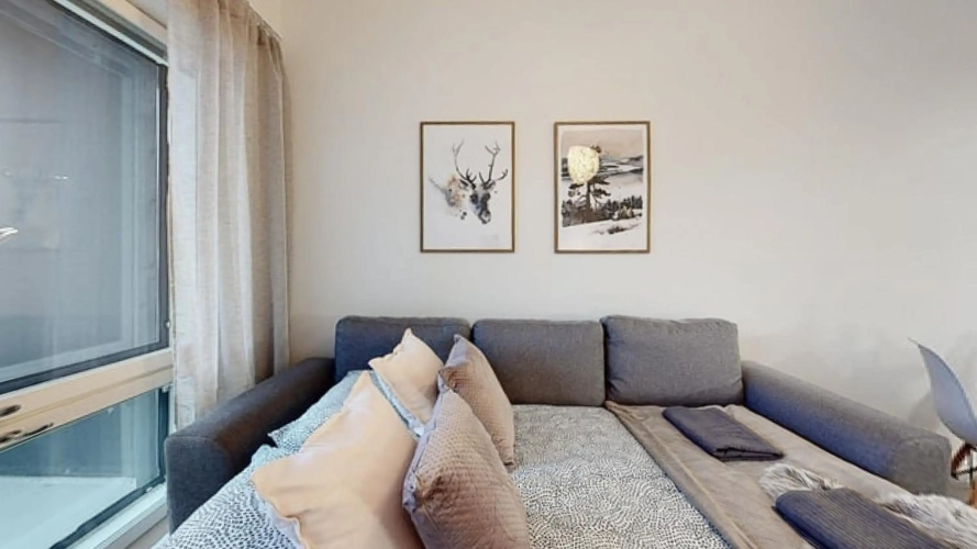 Apartment Scandinavia IV