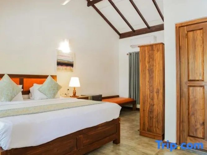 Standard Double room with pool view