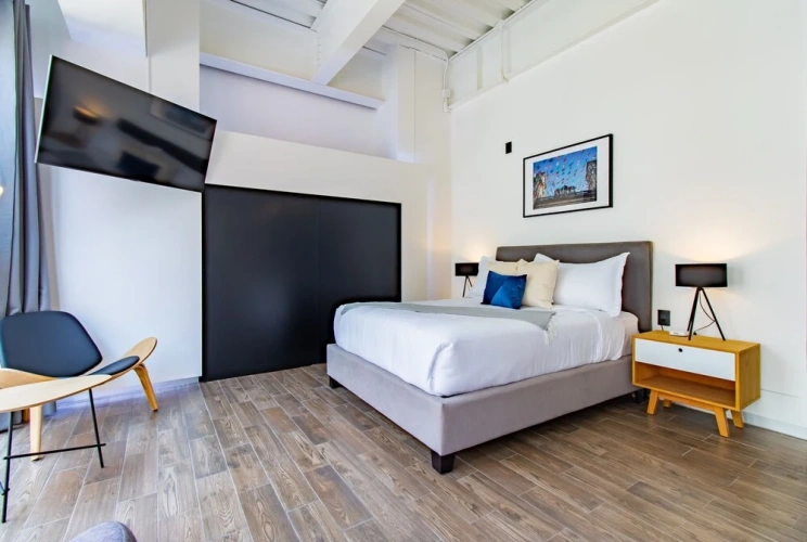 Deluxe Apartment