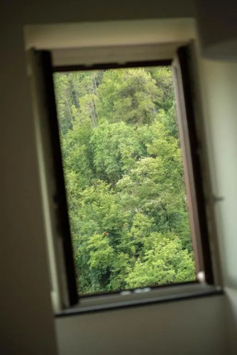 Il Giardino Dorato