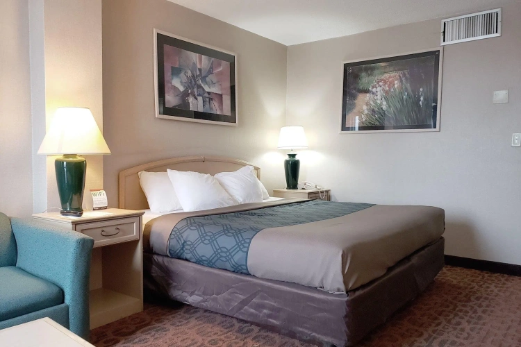 Standard Double room with pool view