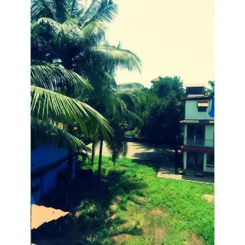 Orchid De Goa