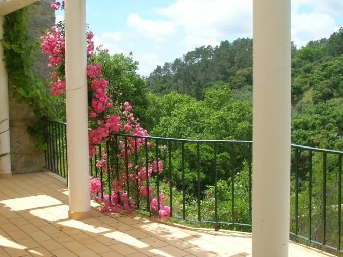 2 Bedrooms Quadruple Duplex Apartment
