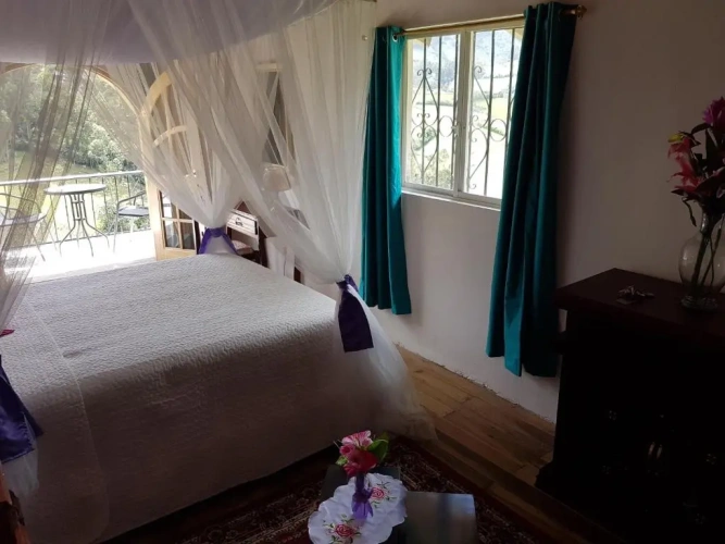 Deluxe Double room with balcony