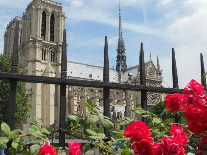 Junior Suite — Single Bed