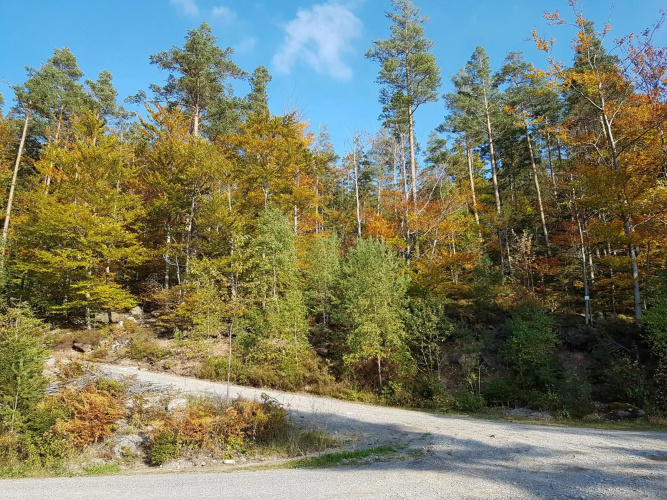 Stürmlesloch