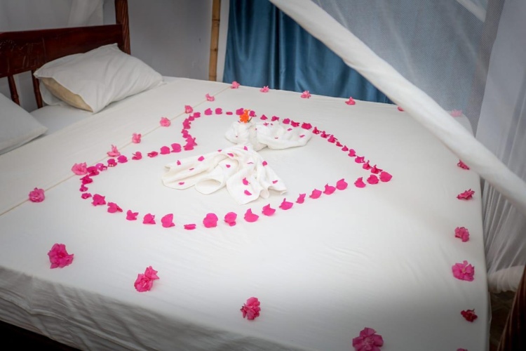 Standard Double room with garden view