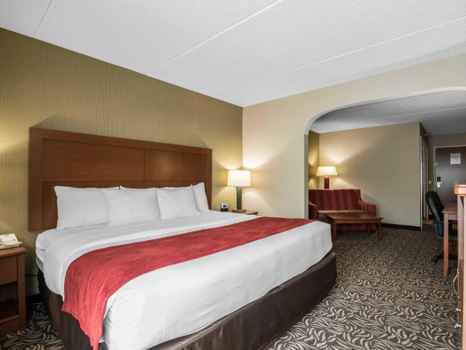 1 Bedroom Double Suite