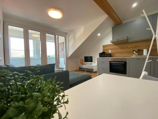 1 Bedroom Apartment