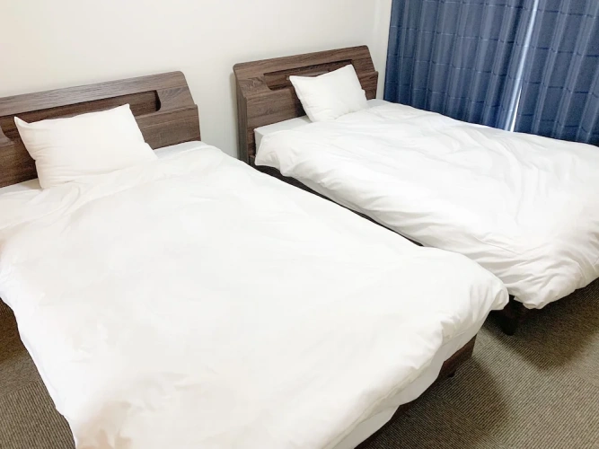 Business Twin room