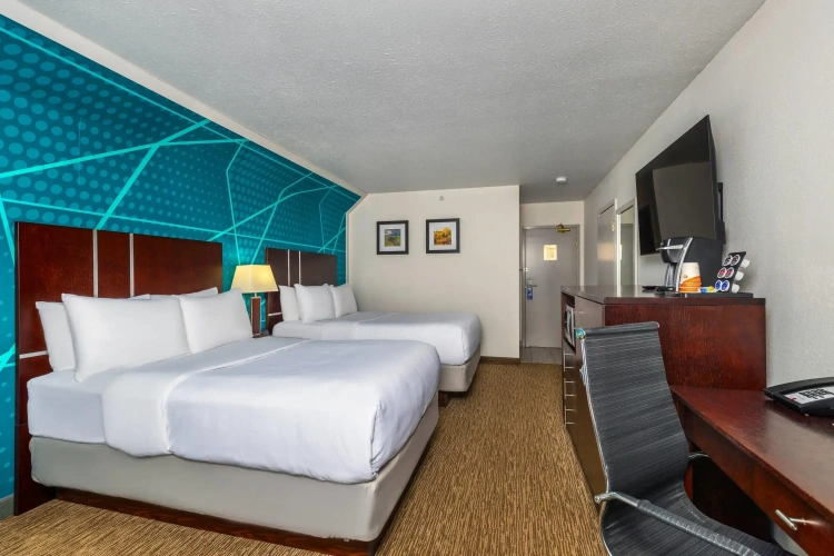 Standard Double room