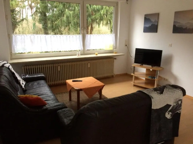 Single Studio with garden view