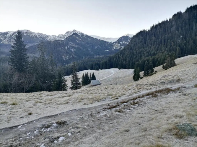 Willa U Kośle 2