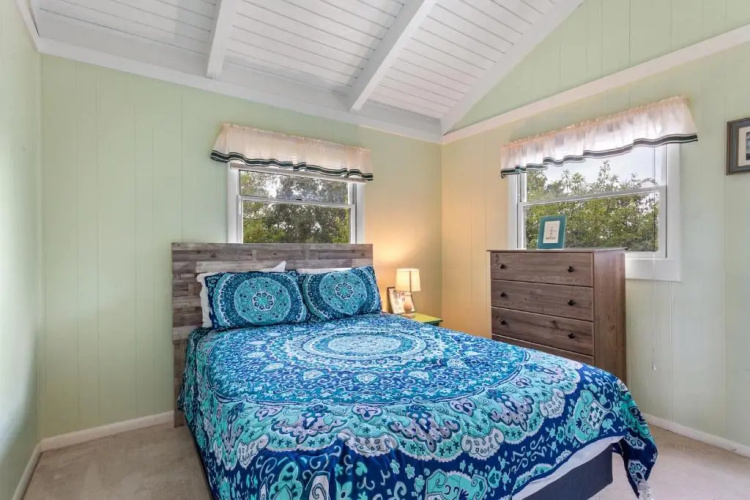 1655 - Dragonfly Cove