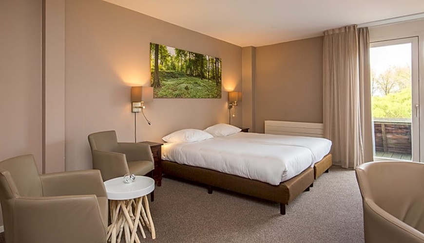 Standard Double room with balcony and with view